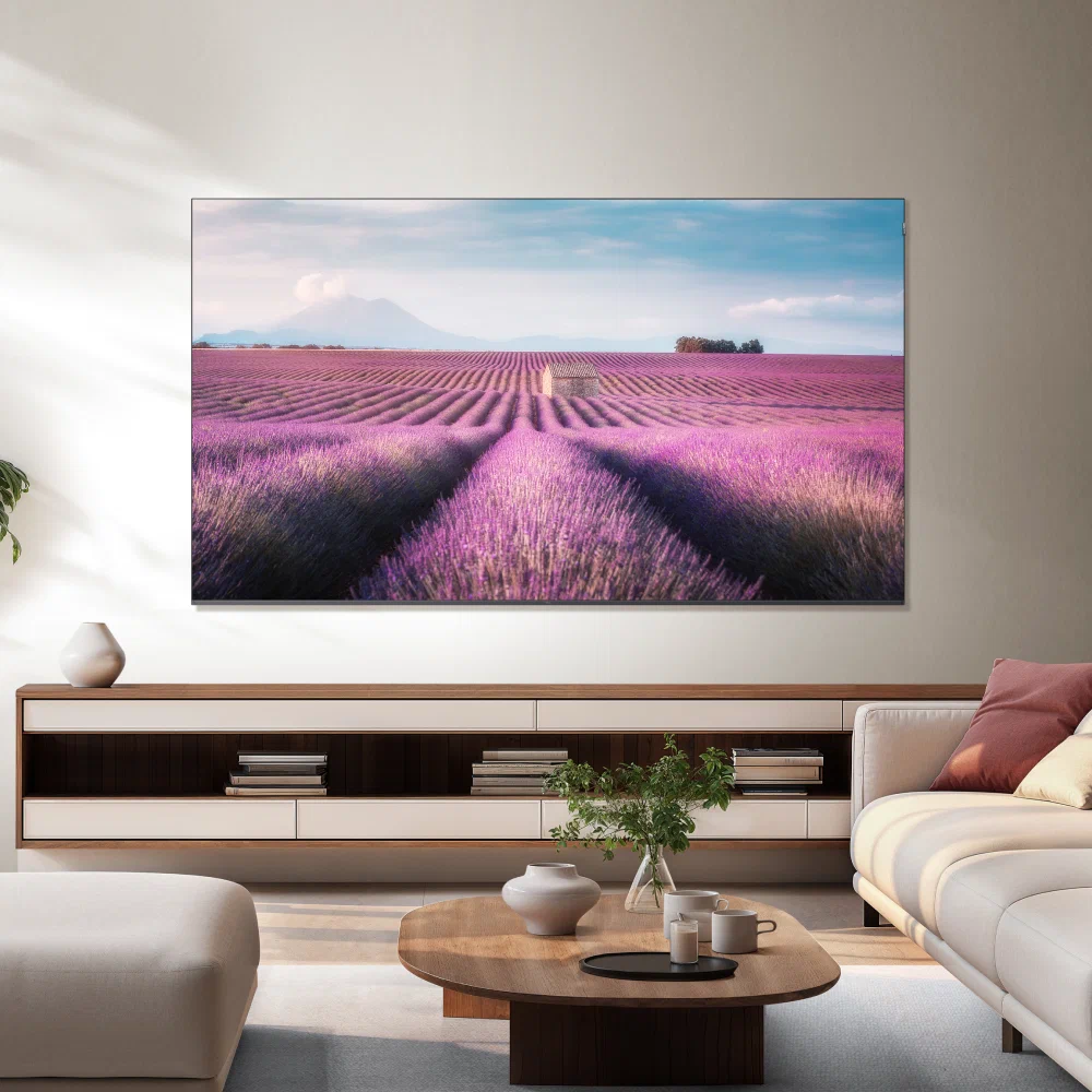 TCL 55C6K — порты и разъёмы на панели телевизора
