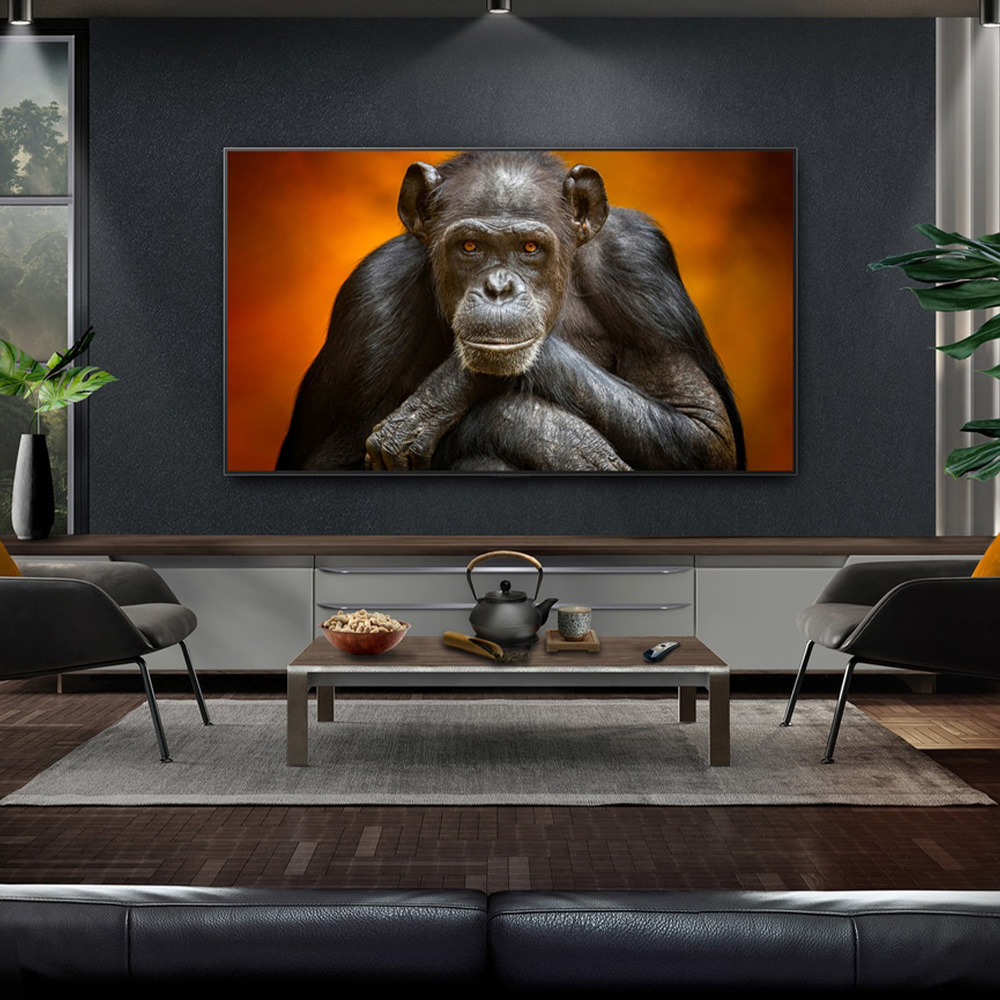 Естественная цветопередача и широкий цветовой объём — LG OLED83G5RLA (oled83g5)
