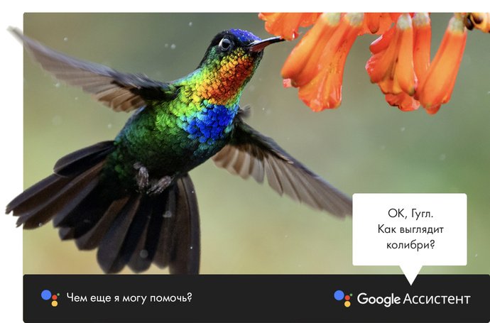 Google Ассистент